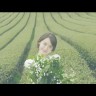 Innisfree The Green Tea Seed Serum Интенсивная увлажняющая сыворотка на основе семян зеленого чая, 5 мл