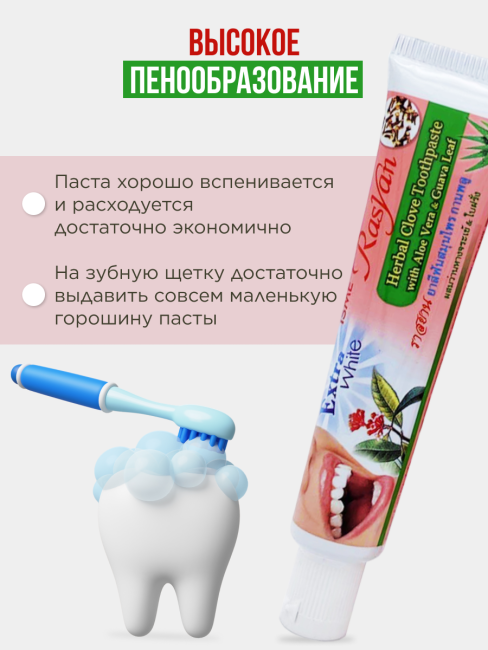 Rasyan Зубная паста травяная с гвоздикой, алоэ вера и листьями гуавы Herbal Toothpaste With Aloe Vera & Guava Leaf, 30 г Rasyan Зубная паста травяная с гвоздикой, алоэ вера и листьями гуавы Herbal Toothpaste With Aloe Vera & Guava Leaf, 30 г