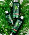 Logona Nettle Essential Care Шампунь с экстрактом Крапивы, 500 мл