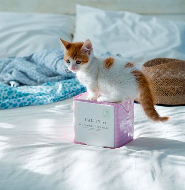 Quality First All In One Sheet Mask Moist Ультраувлажняющая маска, 50 шт Quality First All In One Sheet Mask Moist Ультраувлажняющая маска, 50 шт
