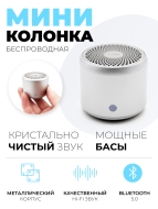 EWA Lipusen Портативная Bluetooth колонка серебристая A106 Pro Silver, 3 Вт