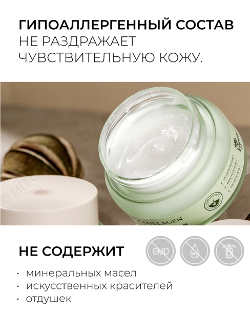 Mizon Дневной крем для лица Веган формула с фитоколлагеном Phyto Plump Collagen Day Cream, 50 мл Mizon Дневной крем для лица Веган формула с фитоколлагеном Phyto Plump Collagen Day Cream, 50 мл