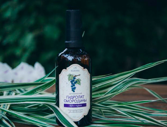 Kleona Гидролат Смородина черная, 100 мл
