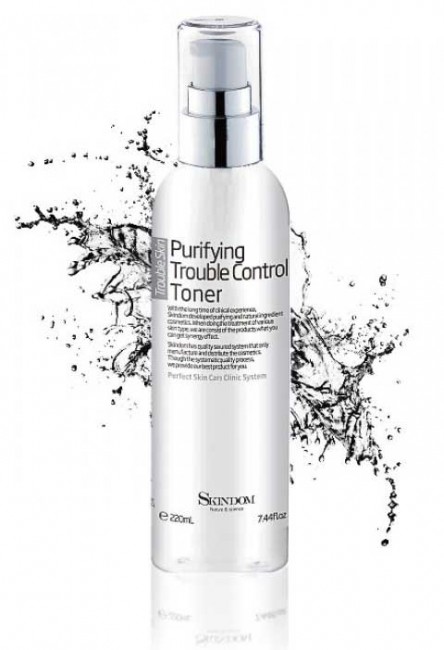 Skindom Purifyuing Trouble Control Toner Очищающий тоник для проблемной кожи лица, 220 мл Skindom Purifyuing Trouble Control Toner Очищающий тоник для проблемной кожи лица, 220 мл