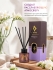 Thai Talay Аромадиффузор с палочками Очаровательная фрезия Aroma Oil Essense Reed Diffuser Charming Freesia, 50 мл