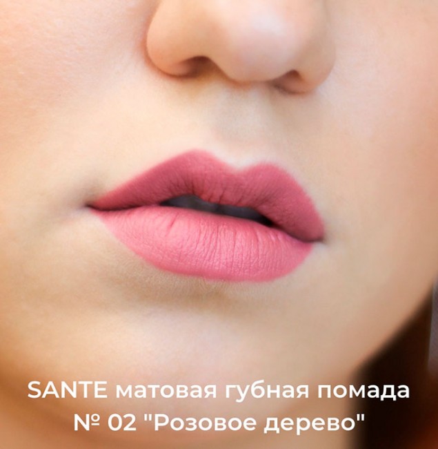 Sante Naturkosmetik Помада для губ матовая Розовое дерево, 4,5 г Sante Naturkosmetik Помада для губ матовая Розовое дерево, 4,5 г