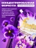 Fineline Гель концентрат для стирки парфюмированный Роза Deluxe Perfume Purple, 1250 мл