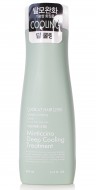 Daeng Gi Meo Ri Кондиционер для волос  LOOK AT HAIRL LOSS MINTICCINO DEEP COOLING TREATMENT, 500 мл