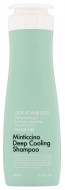 Daeng Gi Meo Ri Шампунь LOOK AT HAIR LOSS MINTICCINO DEEP COOLING SHAMPOO, 500 мл