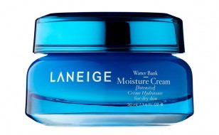LANEIGE Water Bank Moisture Cream Увлажняющий крем с ледниковой водой, 50 мл