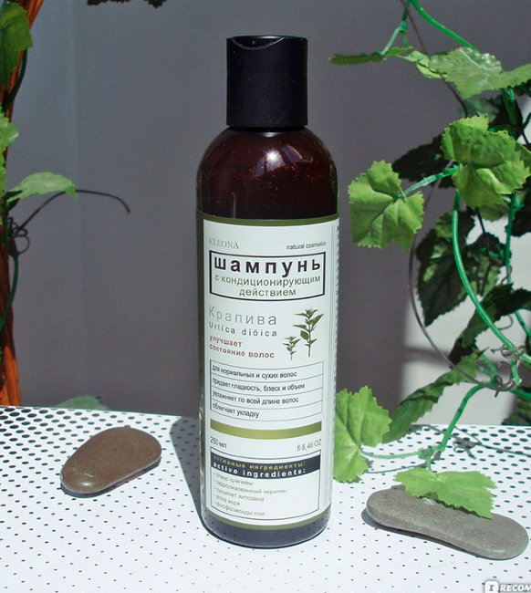 Kleona Шампунь Крапива с кондиционером, 250 мл Kleona Шампунь Крапива с кондиционером, 250 мл