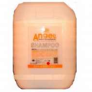 Angel Professional Шампунь для сухих и нейтральных волос, 10 л