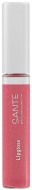 Sante Lipgloss Блеск для губ №03 Персиково-розовый, 10 мл