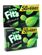 LOTTE Жевательная резинка мятная 2 пачки Fit's Original Mint, 2 x 24.6 г