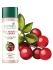 Biotique Лосьон для тела омолаживающий увлажняющий Bio Winter Cherry Rejuvenating Body Nourisher, 180 мл Biotique Лосьон для тела омолаживающий увлажняющий Bio Winter Cherry Rejuvenating Body Nourisher, 180 мл