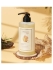 JMsolution Шампунь для волос с экстрактом имбирного дерева Life Ginger Wood Shampoo, 500 мл