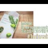 Innisfree Green It's Real Squeeze Mask Bija Маска для лица с маслом дерева торреи, 20 мл