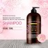 Pedison Insitute Botte Oriental & Root Care Shampoo Шампунь для укрепления корней волос, 750 мл Pedison Insitute Botte Oriental & Root Care Shampoo Шампунь для укрепления корней волос, 750 мл