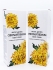 Jigott Комплект кремов для рук с экстрактом Хризантемы Secret Garden Chrysantheum Hand Cream, 2 шт * 100 мл