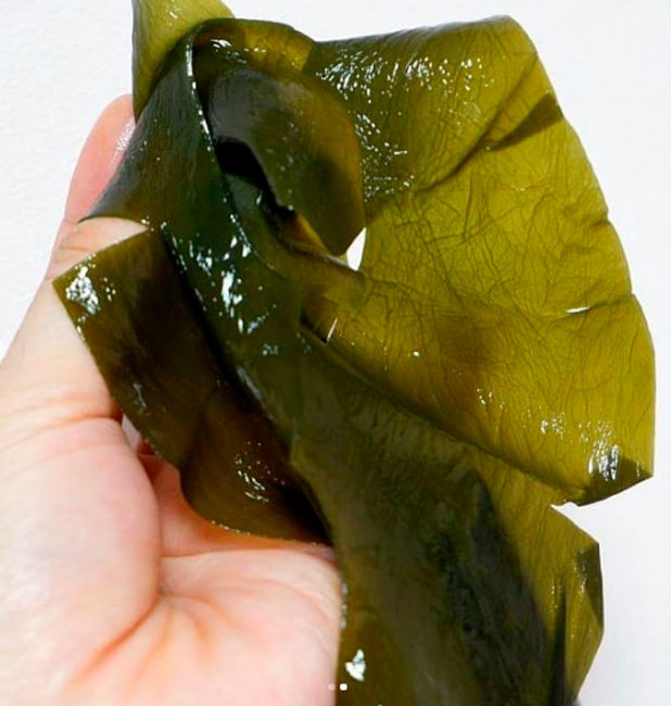 Whamisa Organic Facial Mask Pack (Real Kelp Sheet) Маска для лица из морских водорослей, 35 г Whamisa Organic Facial Mask Pack (Real Kelp Sheet) Маска для лица из морских водорослей, 35 г