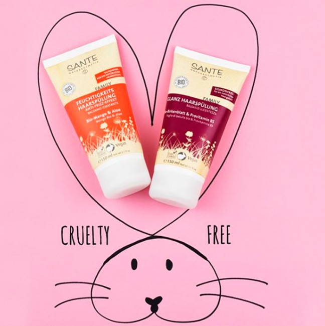 Sante Family Bio-Mango & Aloe Кондиционер для волос Увлажняющий, 150 мл Sante Family Bio-Mango & Aloe Кондиционер для волос Увлажняющий, 150 мл