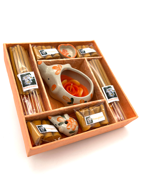 EcoBioLife Арома-набор Цветок Франжипани из 9 предметов оранжевый Frangipani Aroma Set Orange