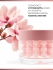 AMIJOLI Капсульный ночной крем для лица с магнолией и церамидами Dual Phase Soothing Night Сream Calming Magnolia, 50 мл